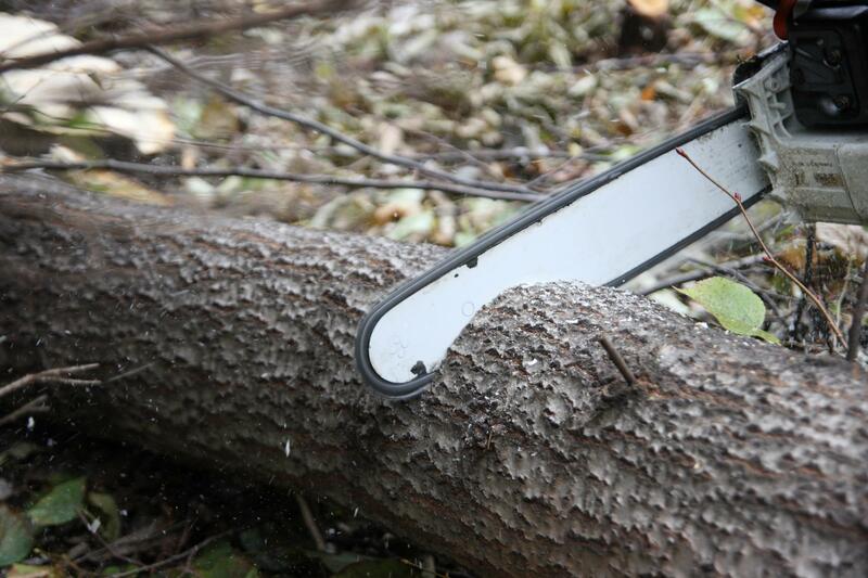 The image shows a chainsaw cutting through a piece of wood. the piece of wood is lying on the ground. 